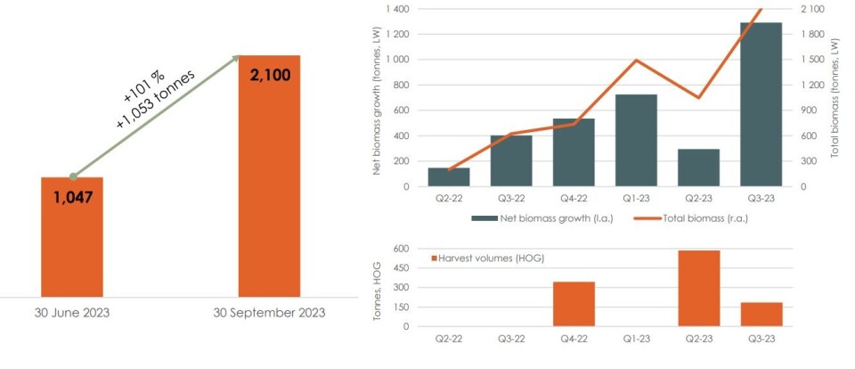 T.v: Stående biomasse per 30. juni 2023 og 30,september 2023 (tonn LV). T.h. oppe: Netto kvartalsvis biomassevekst (LV). T.h. nede: Kvartalsvise slaktevolum (HOG). Klikk på bildet for større. T.v: Stående biomasse per 30. juni 2023 og 30,september 2023 (tonn LV). T.h. oppe: Netto kvartalsvis biomassevekst (LV). T.h. nede: Kvartalsvise slaktevolum (HOG). Klikk på bildet for større.