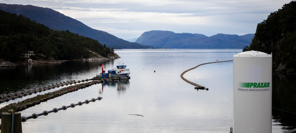 BioFish rigger
seg for vekst