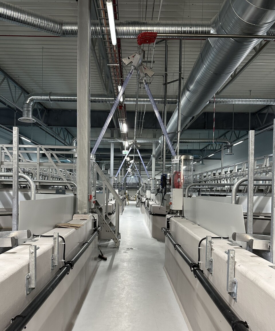 Illustrasjonsbilde fra Aquateknikk sine installasjoner på SalMar, Senja.