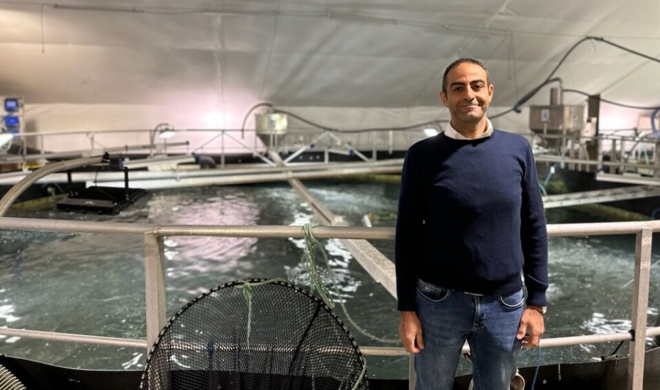 - Det er mye å lære, men jeg føler jeg har fått drømmejobben, sier Martin Saad som er ny driftsleder ved Vik settefisk.