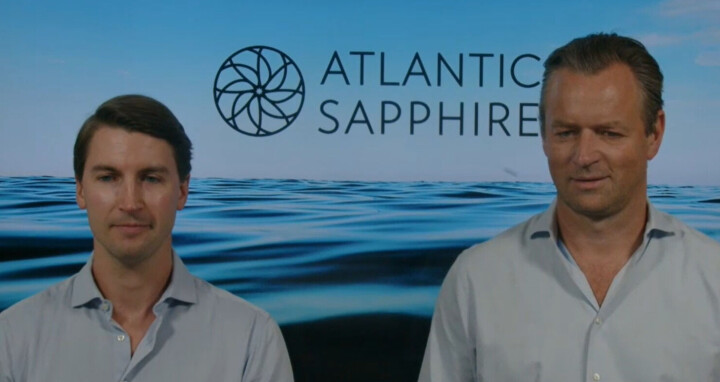 Search for new Atlantic Sapphire CEO ‘will take some time’