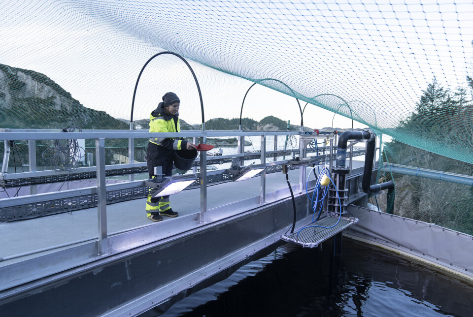 Driftsleder i Skålevik, Gunn Agnes Hellen sier hun er fornøyd med hvordan den første måneden har gått med fisk i Optiras-systemet.