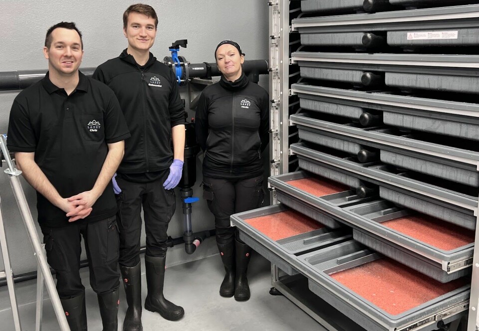 Det islandske selskapet Laxey har utført sitt første rogninnlegg, og ambisjonen er å få fisken opp til 100 gram før den videreføres til matfiskavdelingen som er under bygging.