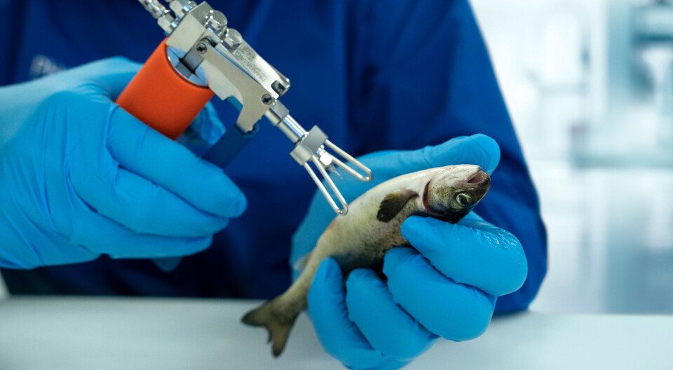 I årets første to måneder er det omsatt vel tre ganger så mange ILA-vaksiner som i samme periode i fjor.