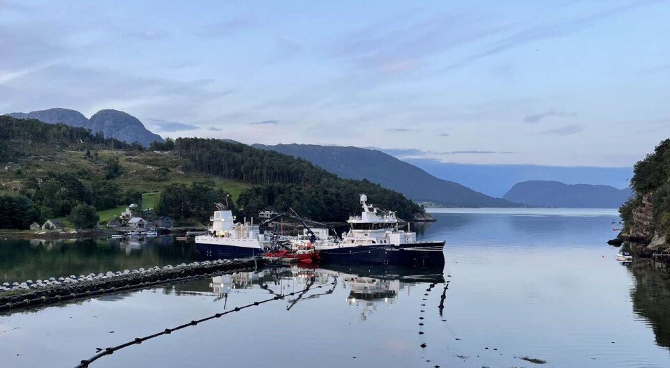 Biofish holder til i Hardanger i Vestland fylke.