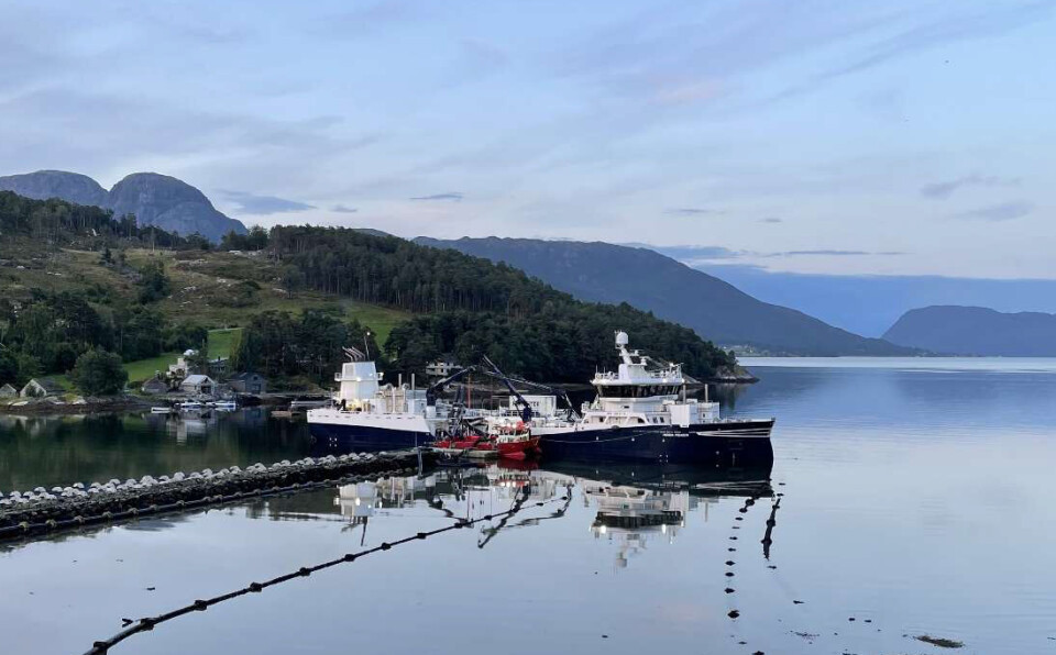 Brønnbåt får levert om bord smolt fra BioFish gjennom en rørledning fra anlegget.