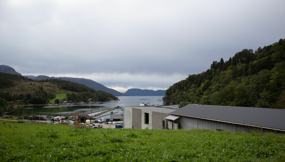 I denne bukten i Tørvikbygd ligger de store betongkonstruksjonene til Biofish.