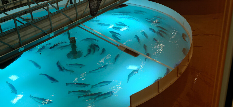 Risikovurdering av landbaserte anlegg