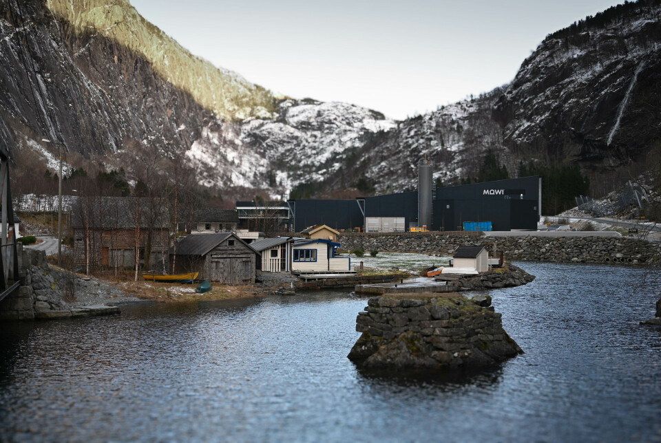 Innerst i Åkrafjorden i Etne kommune i Sunnhordland, ligger Fjæra. En gammel, idyllisk grend, befolket med et par dusin småhus og fire sjeler.