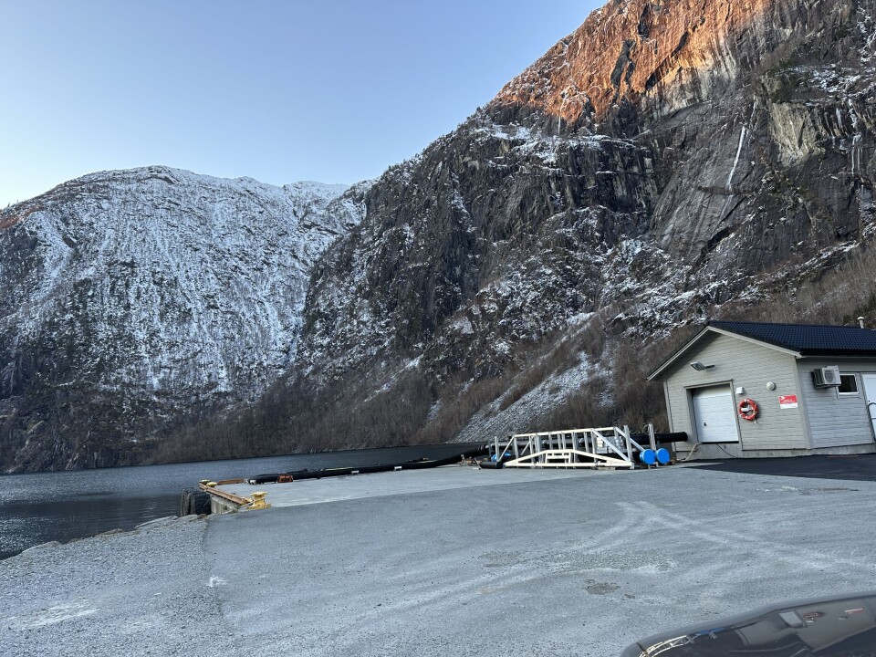 Kaien der fisken pumpes ned til når den skal om bord i brønnbåten.