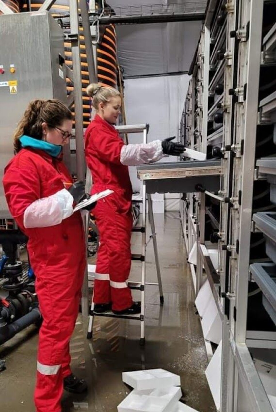 Kathrine Bergthun og kollega mottar ny rogn.