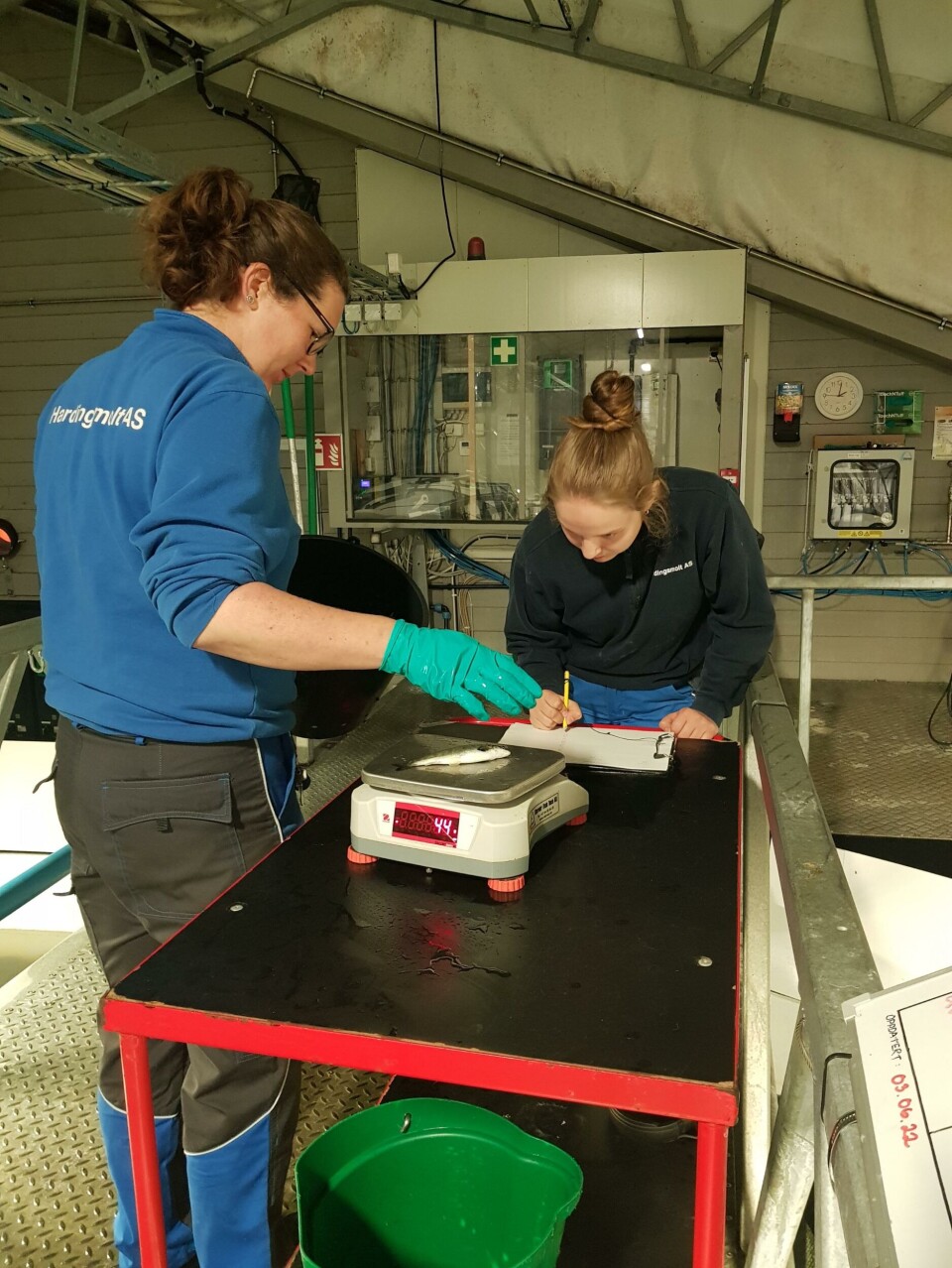 Katrine Bergthun forteller om variert arbeidshverdag. Her utfører hun og en snittvekstkontroll.