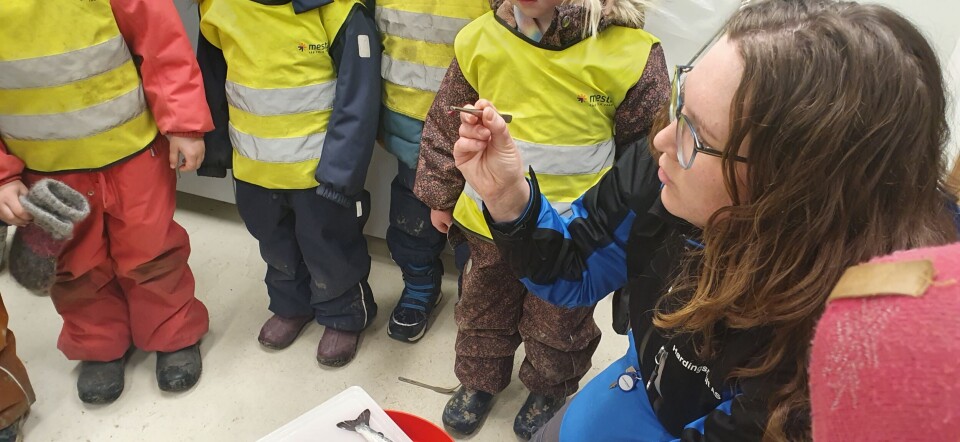 Katrine Bergthun forteller til ivrige barn fra den lokale barnehagen om laks, lus, og settefiskproduksjonen deres.