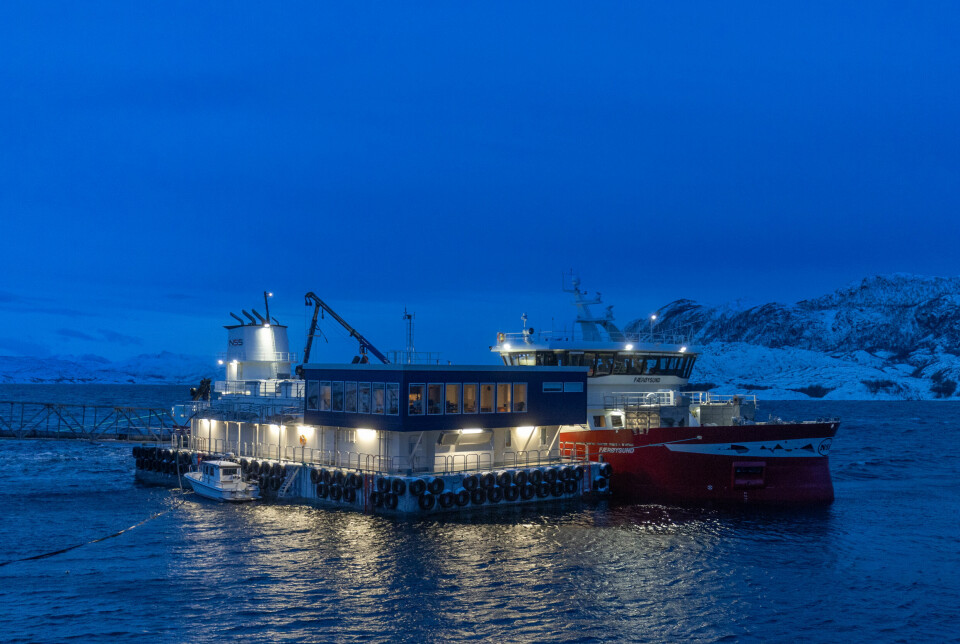 Færøysund er kommet for å levere første gruppe med smolt.