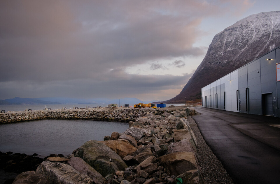 AquaGen Profunda i Barstadvik er Norges eneste landbaserte fullsyklusanlegg for stamfisk og rognproduksjon, med helårs produksjon av både rogn og melke.