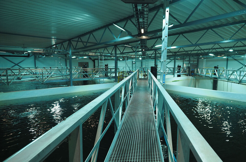 Disse selskapene slår seg sammen