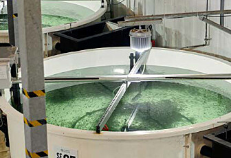 Hentet inn flere hundre millioner