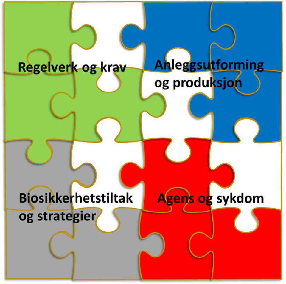 Figur 4 : Puslebrikkene illustrerer hva som kan utgjøre et anlegg sitt totale arbeid med biosikkerhet, også kalt biosikkerhetsstrategi. Åpne felter innenfor hvert tema representerer kunnskapsmangel per i dag.