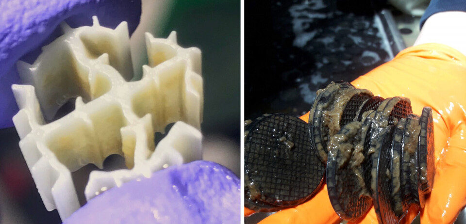 Figur 2: Bofilter og biofilm. Til venstre et biolegeme med biofilm under normal drift. Til høyre biolegemer med mye biofilm og mulig heterotrof bakterievekst.