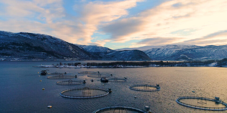 Lokalitet i Skjerstadfjorden.