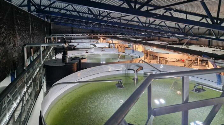 Dobler inntektene – men går fortsatt i minus