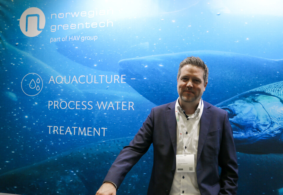 Børge Gjelseth, kommersiell direktør i Norwegian Greentech.