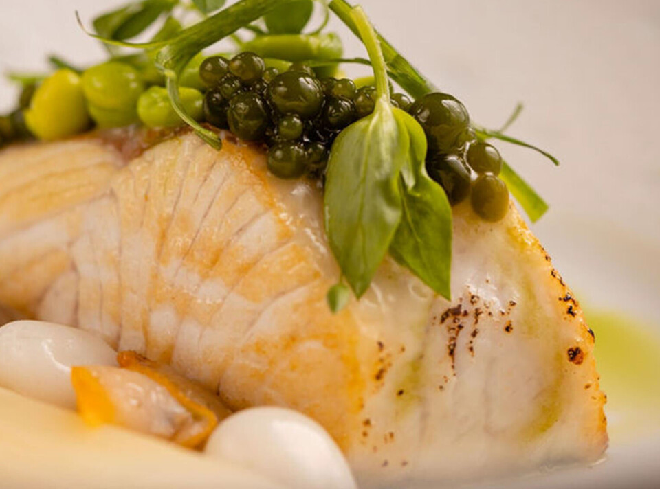 The Kingfish Company investerer nå betydelig i salg og markedsføring for å akselerere utvidelsen av kundebasen og utvikle eksisterende og nye markeder.