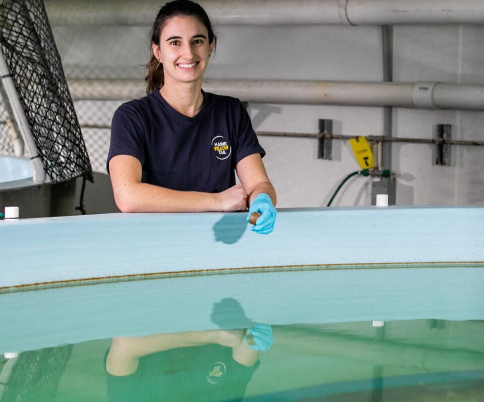 Mens den nåværende hovedprioriteten er å optimalisere operasjonene i Nederland, fortsetter selskapet også å utvikle utvidelsesplaner i USA og Nederland.