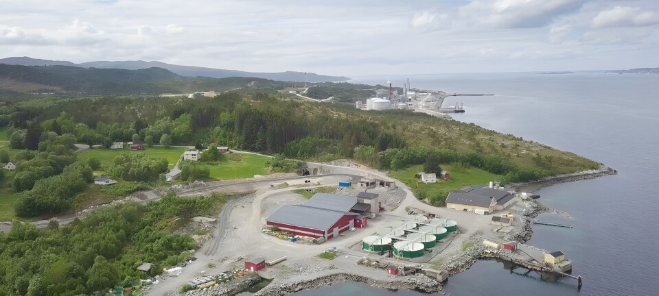 Økonomisk smell etter Mowi-kontrakt