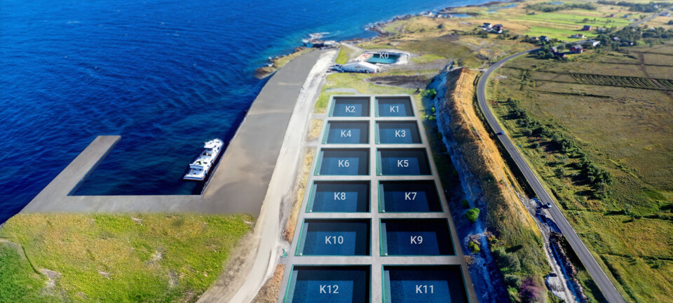 God fremgang hos Andfjord Salmon