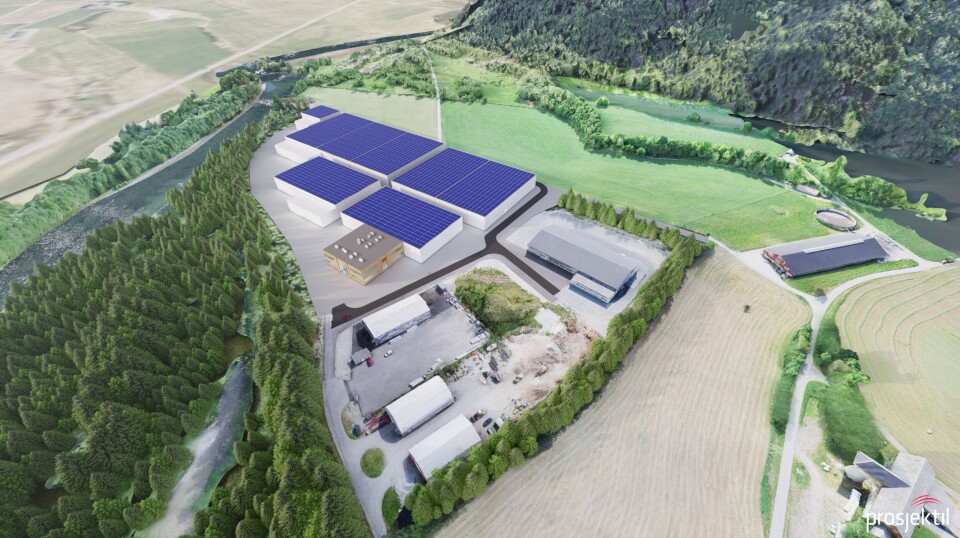 Får produsere mer på land