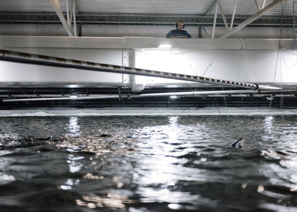 Anlegget skal levere minst 3000 tonn postsmolt i året til Grieg Seafoods sjøbaserte oppdrettsanlegg i fylket.Illustrasjonsfoto: Tommy Ellingsen