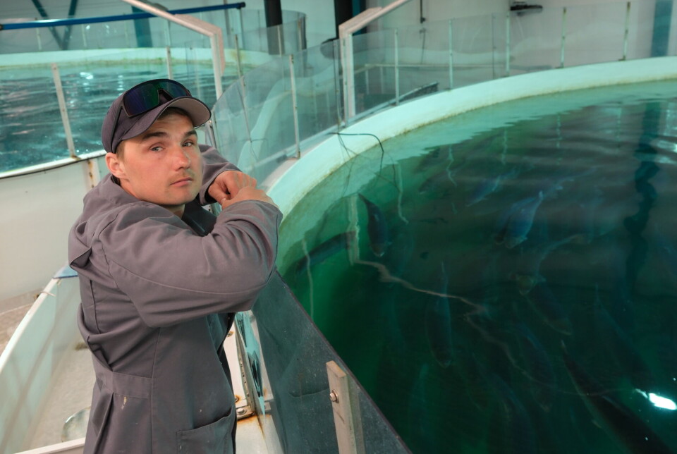 Stamfiskkoordinator Øyvind Bjørknes fra Salten Stamfisk forteller om samarbeidet de har med Benchmark Salten.