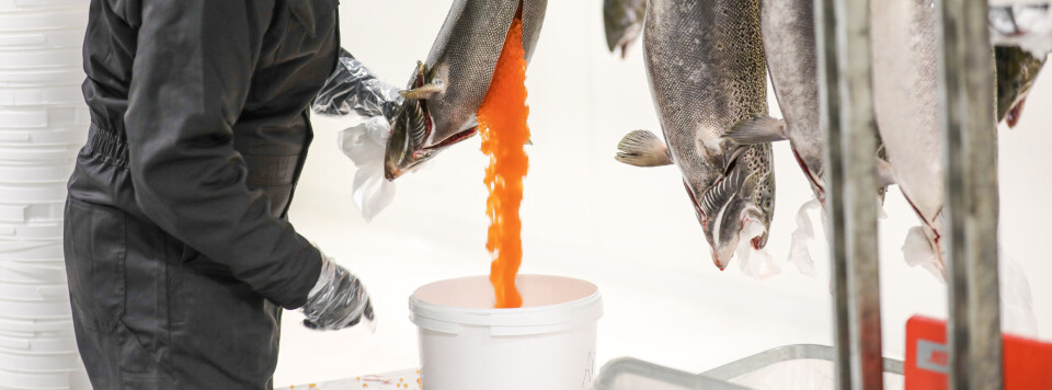 Salgsprosessen har vart i nesten et år, og er nå endelig avsluttet.