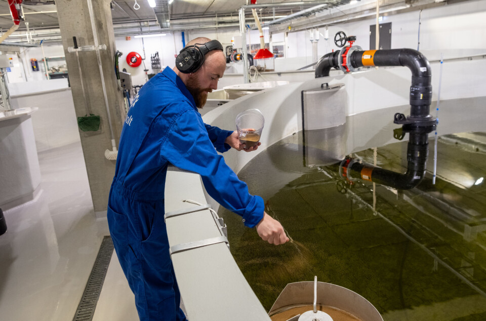 Bli med inn i Salten Smolt-anlegget