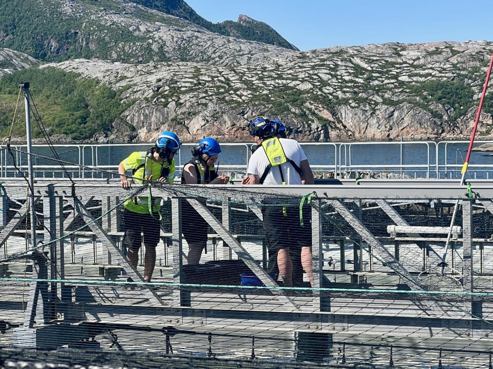 Etter en trøblete start med dødelighet på smolten som ble levert, og selskapet har per dags dato 160 000 fisk igjen i bassenget som er i drift. Hver uke på anlegget på Rødøy utfører de ansatte en grundig helsesjekk av fisken, som gir dem verdifull informasjon om laksens utvikling.