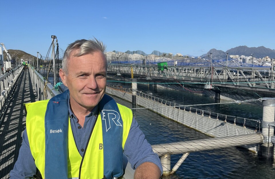 Tore Lyngsand (60) har drevet med oppdrett fra ung alder og er klar for nye oppgaver som assistrerende direktør i Gigante Salmon.