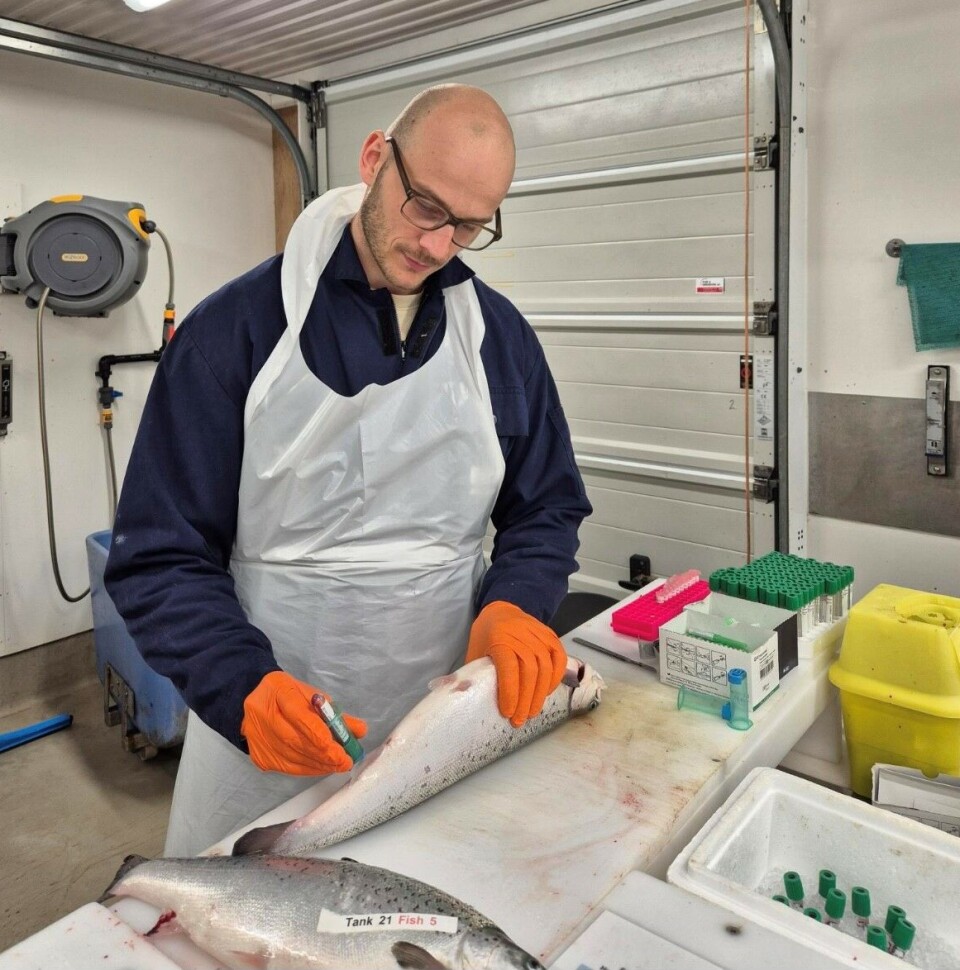 Vegard Flo i Cargill som tar en industri-PhD i regi av Norges miljø- og biovitenskapelige universitet (NMBU).