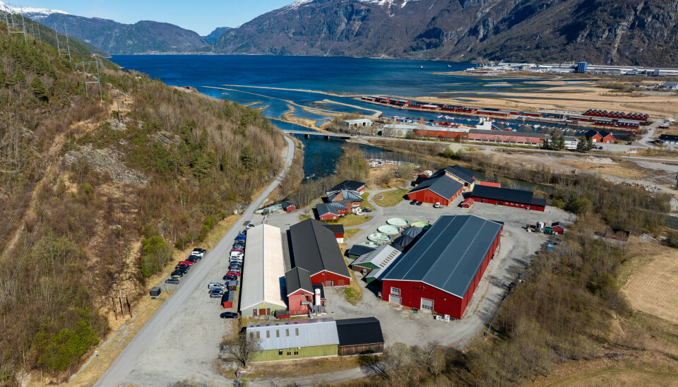 Nofima har forskningsstasjon på Sunndalsøra, der konferansen «Fremtidens smoltproduksjon» finner sted i oktober.