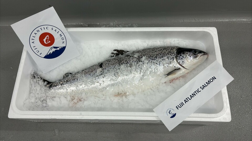 Første fisk ut, og under nytt brand.