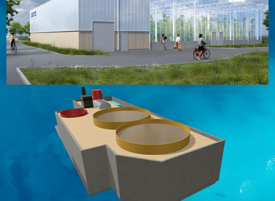 Et kompakt RAS designet av det nederlandske selskapet Landing Aquaculture for produksjon av laks som en del av et akvaponisystem.