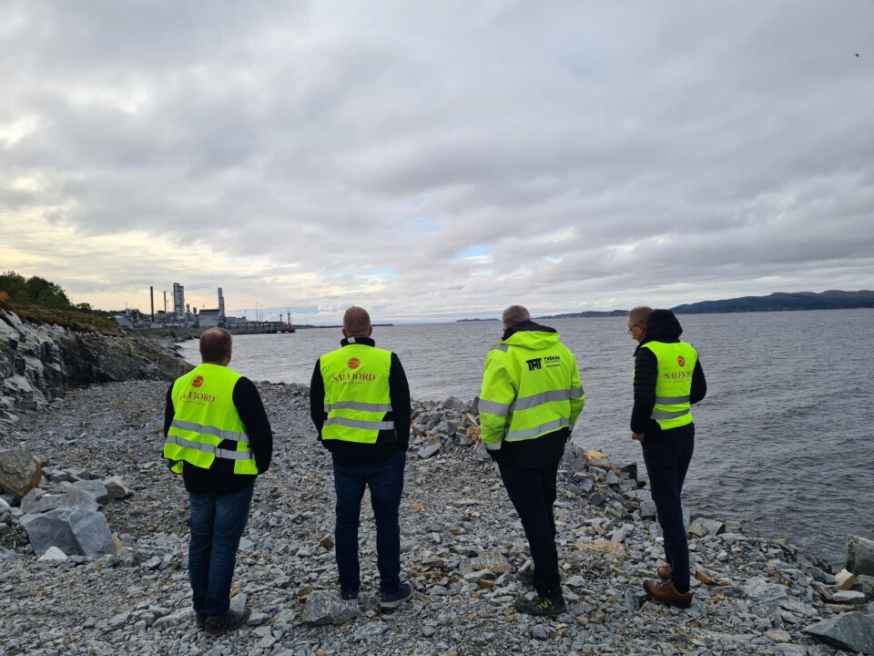 Tomt Tjeldbergodden, mot Equinor Metanolfabrikk og Linde Luftgassfabrikk. Hitra på høyre side.