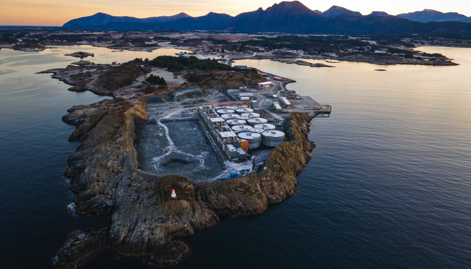 Foto fra Indre Harøy.