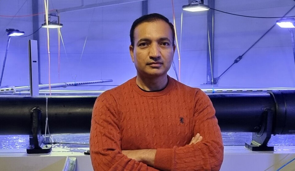 Gammelsmolt gav gevinst