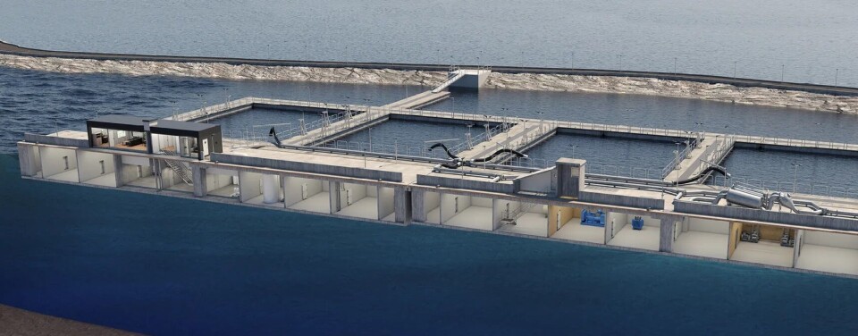 Marina Solutions har skaffet seg kompetanse innen betong, vaier og isopor, bla fra å utvikle ventemerder i betong (bildet). Nå utnytter de dette i et produktet som er under internasjonal patentering, nemlig betongkar på land.