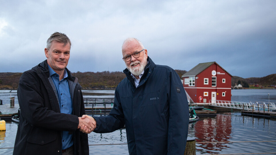 Sjef for oppdrettssatsingen i Torghatten Aqua, Knut Bråthen og Bjørn Erik Sørvik signerte denne uka avtalen hvor Torghatten Aqua kjøper Nordland settefisk fra Sørvig Utvikling.
