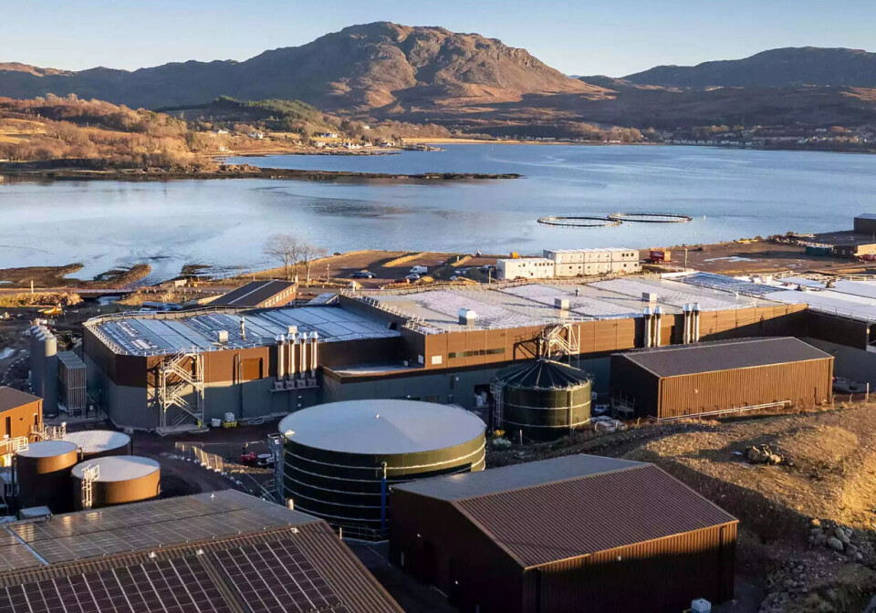 Bakkafrost Scotland sitt klekkeri i Applecross vil produsere postsmolt med en gjennomsnittsvekt på 500 gram, noe som forkorter produksjonstiden i sjø. Dette er en grunn til at Kontali forventer en økning på 25 % i lakseproduksjonen i Europa.