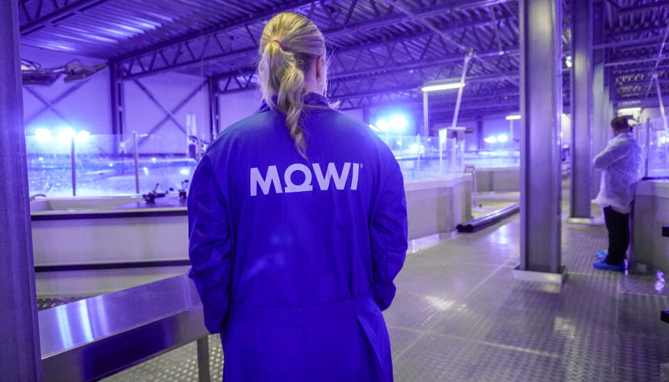 Illustrasjonsfoto fra et av Mowi sine postsmoltanlegg.