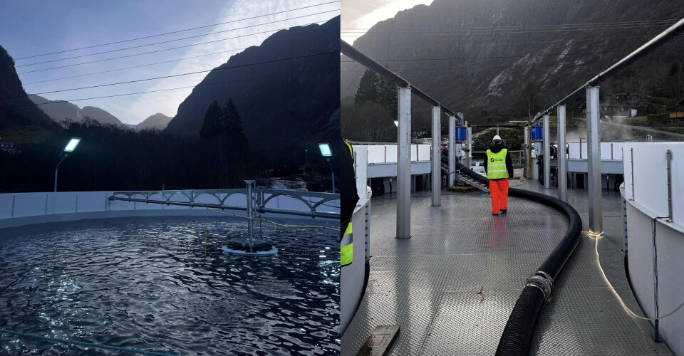 Sidan i vår har arbeidet med Eide Smolt sitt nye settefiskanlegg i Sundal i Kvinnherad kommune pågått. I november kom den fyrste fisken på plass.