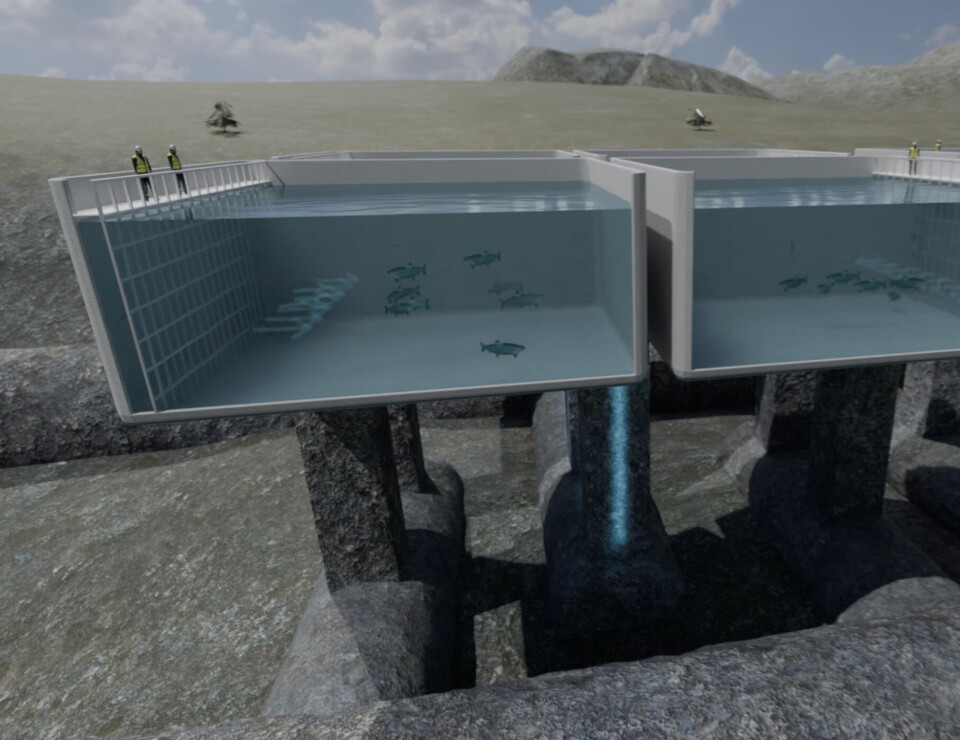 Arbeidet med vannveiene inkluderer også tunnelinfrastruktur under de utgravde basseng-gropene. Her er åtte vertikale inntakssjakter som skal forsyne alle bassengene med friskt sjøvann, og seks vertikale utløpspunkter – der tilstøtende basseng deler samme utløp.